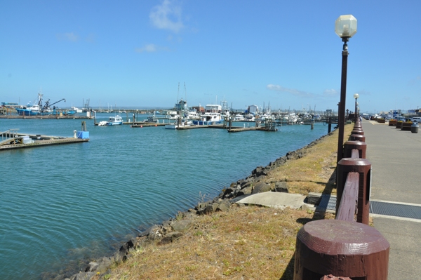 Westport Marina