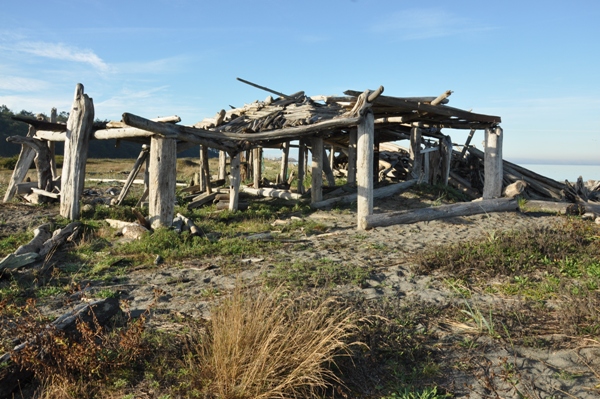 driftwood fort