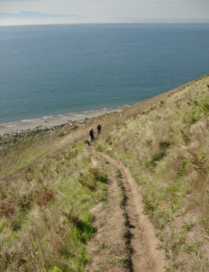 beach trail