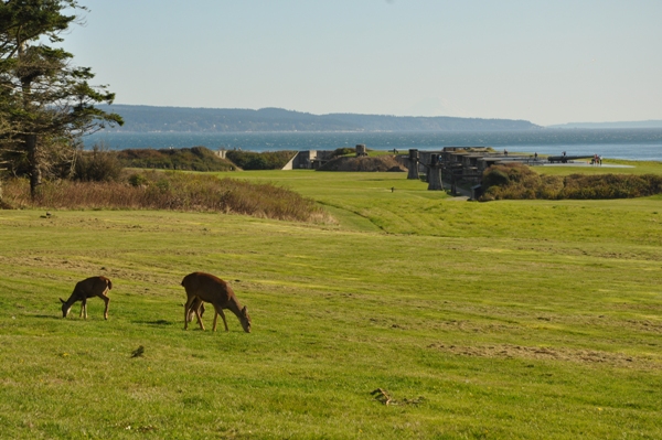 fort casey