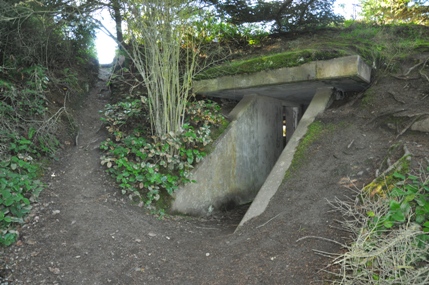 Fort Ebey bunker