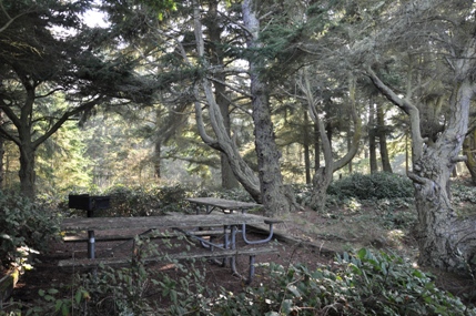 Fort Ebey 