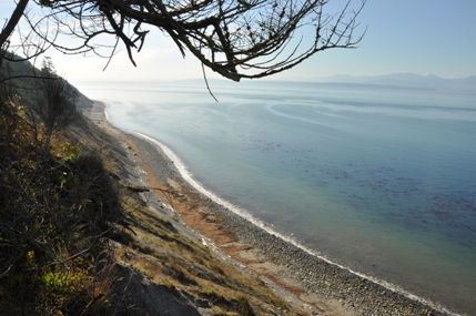 whidbey island