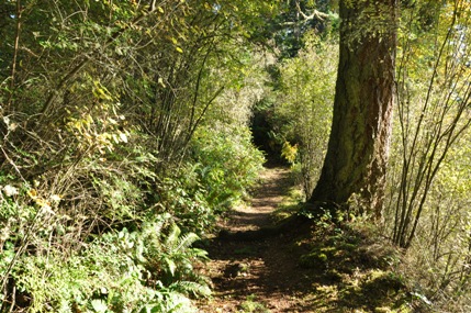 whidbey island