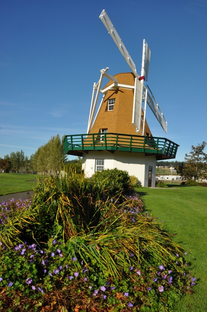 Windmill 