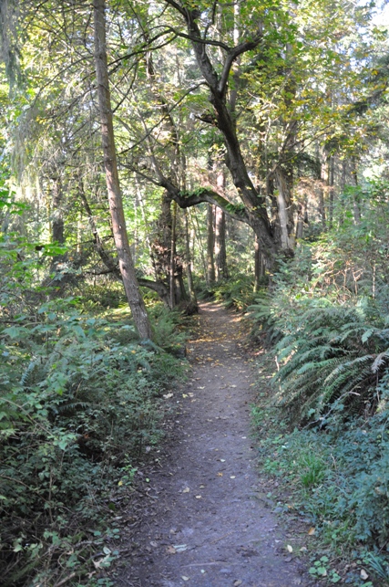 South Whidbey 