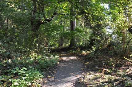 park trail