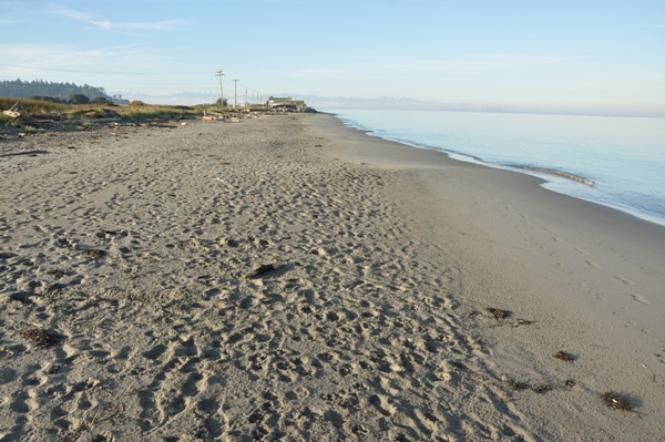 whidbey island beach