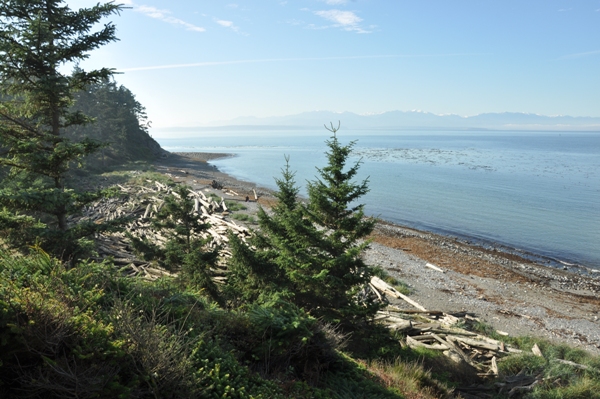 whidbey island