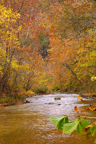 Bryant Creek