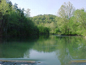 Bryant Creek