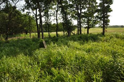 Cedar Bluff Cemetery