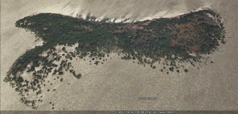 duck island