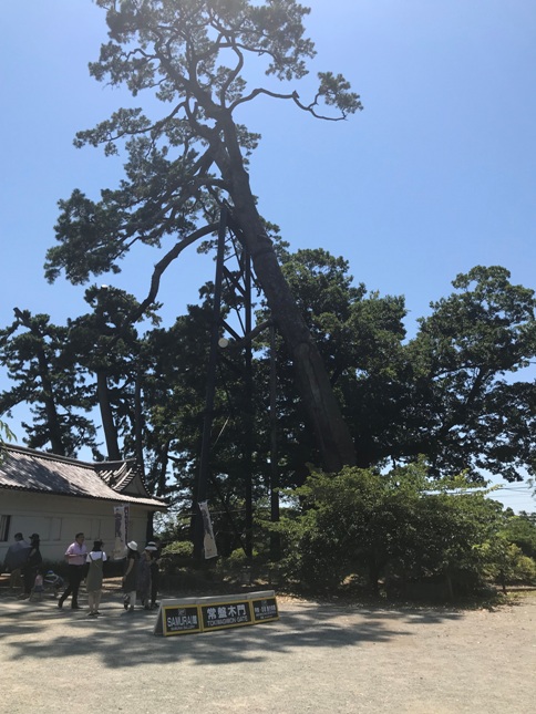 Odawara Castle