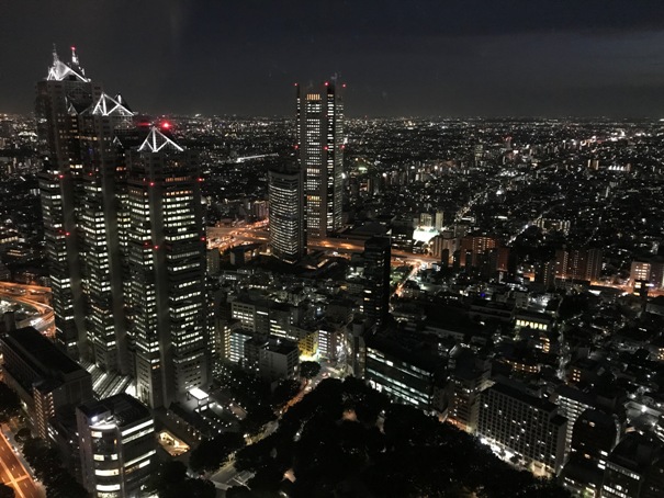 Tokyo Metropolitan Government Building 