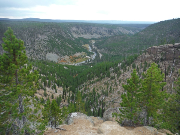 Gibbon River Valey