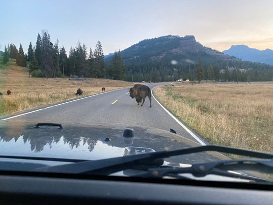 Lamar Valley