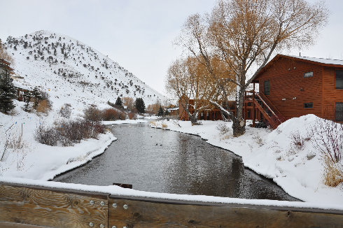 Jackson Hole creek