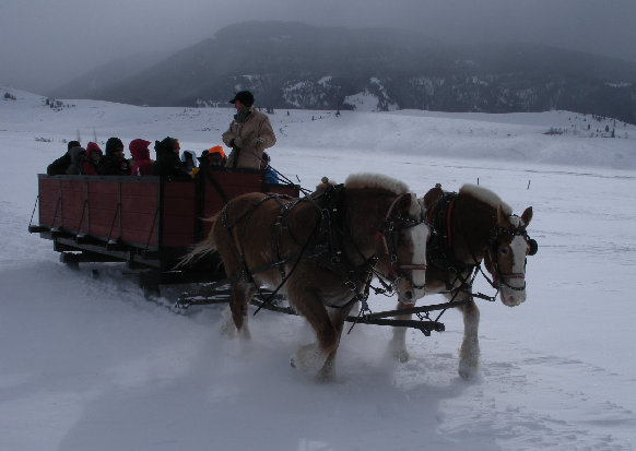 Sleigh ride in the National Elk Refuge