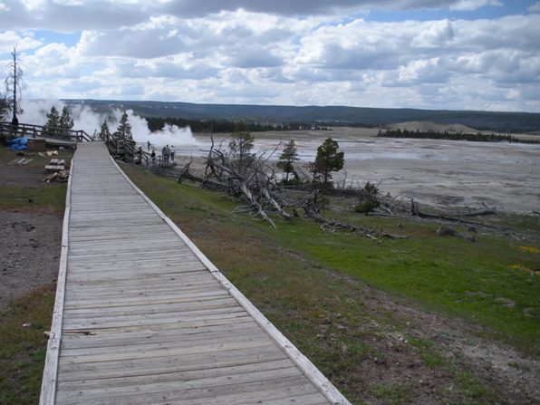 Lower Geyser Basin