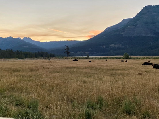 Lamar Valley