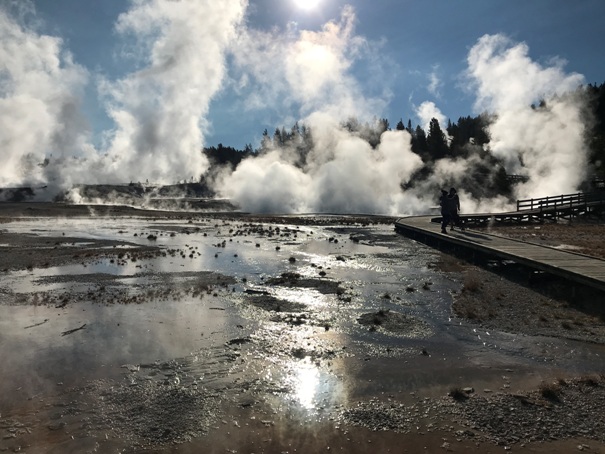 norris geyser basin