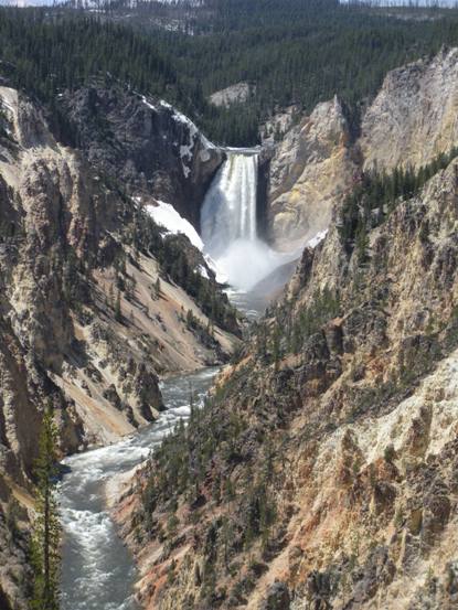 Yellowstone Falls