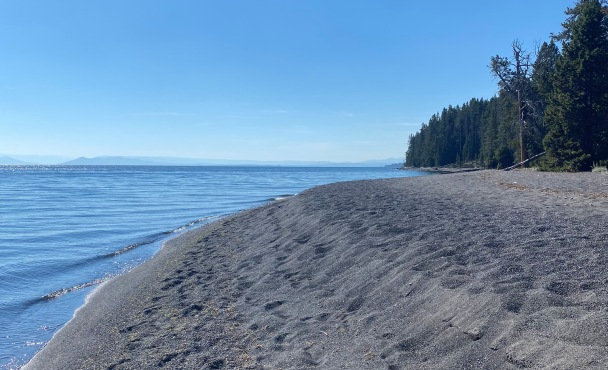 Gull Point