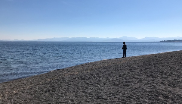 Gull Point