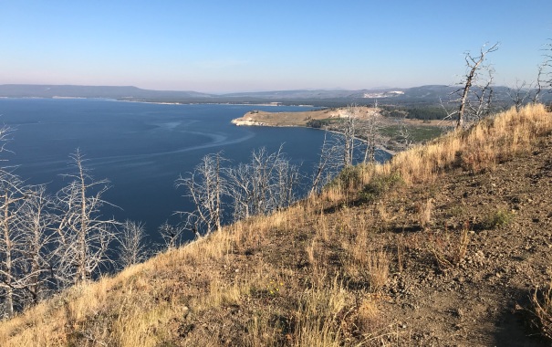 Steamboat Point