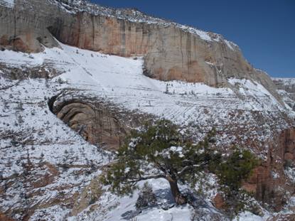 angels landing