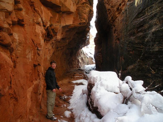 Observation Point Trail