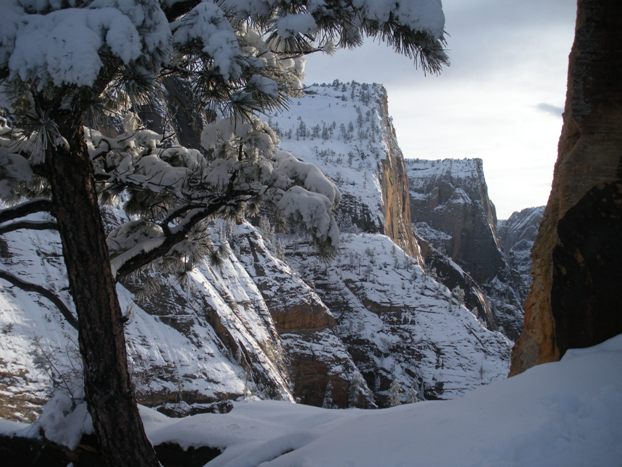 View from the Observation Point trail