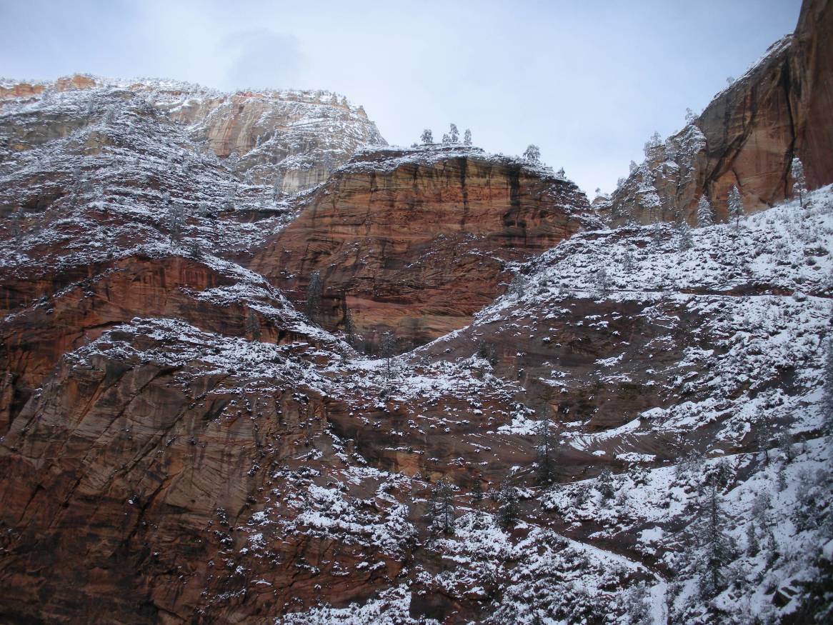 Observation Point Trail