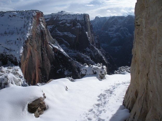 Observation Point Trail