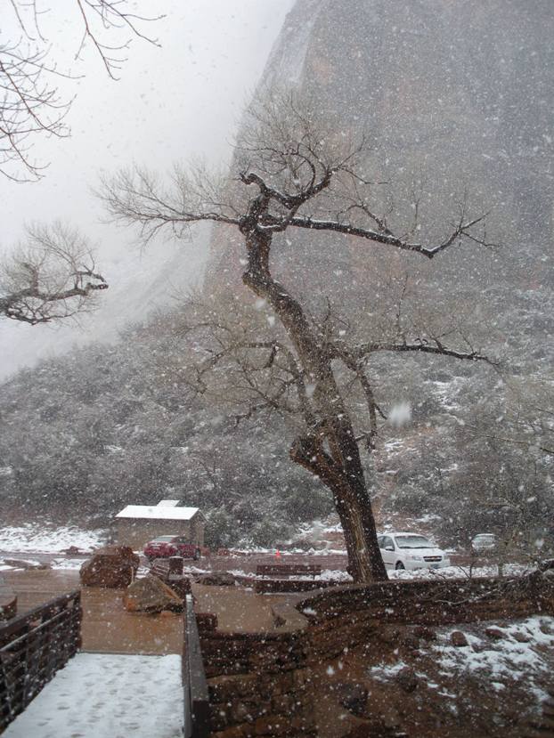 Weeping Rock parking area 