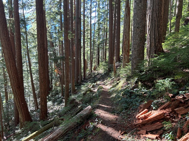 Dingford Creek 