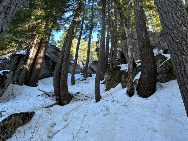 rock garden 