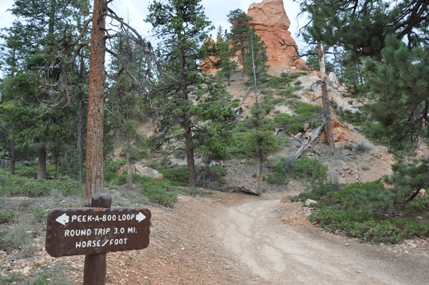 Peekaboo Loop Trail 