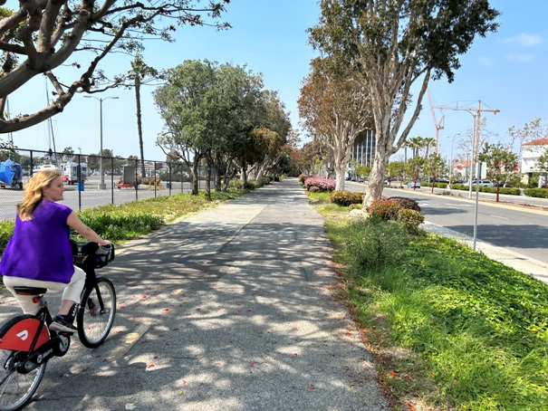 Marina Del Rey