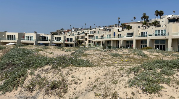 Beach houses