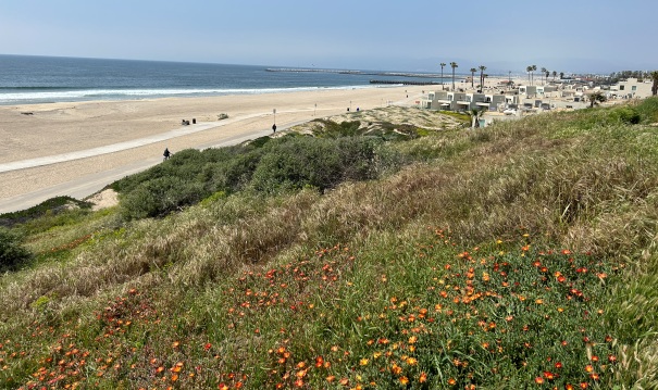 Playa Del Rey Beach