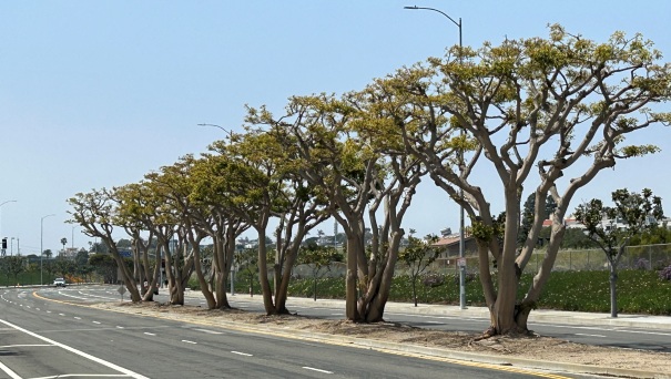 Westchester Parkway