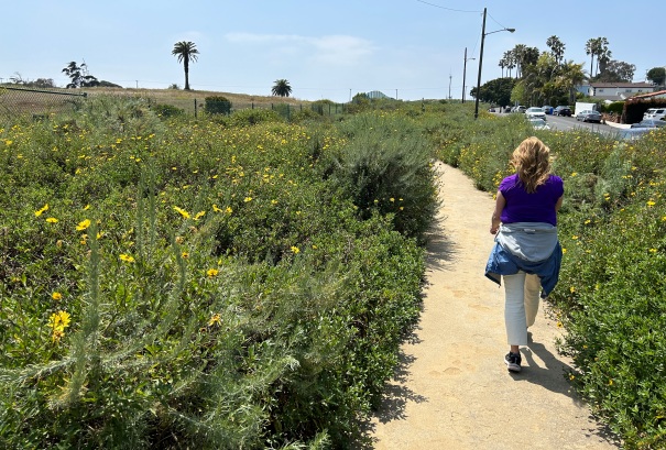 Waterview Trail