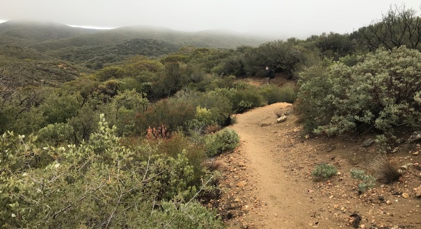 Pacific Crest Trail