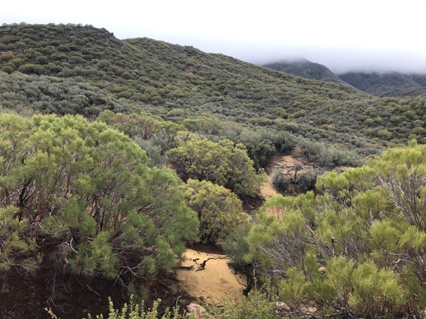 Pacific Crest Trail