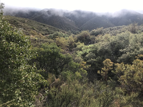 Pacific Crest Trail