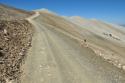 white mountain road