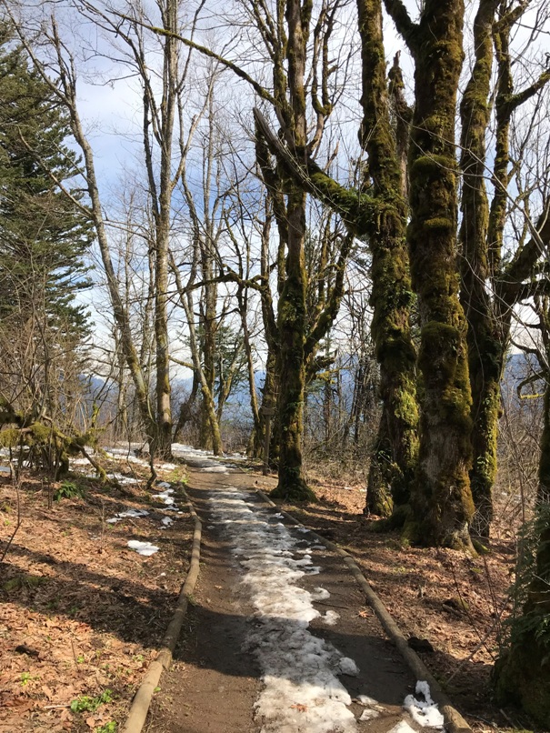 cape horn overlook