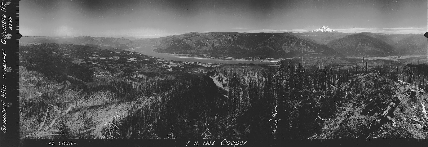 greenleaf peak lookout